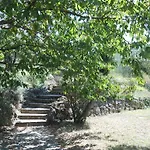Milu 斯波莱托