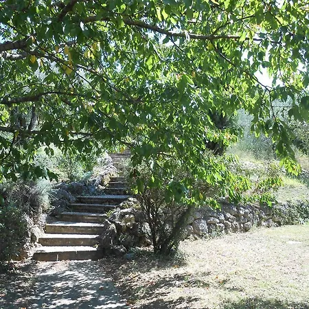 Milu Spoleto