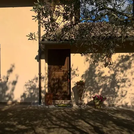 Apartment Milu *
